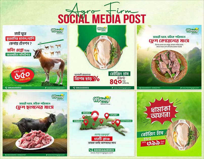 Morning Agro — Social media posts by Turn360