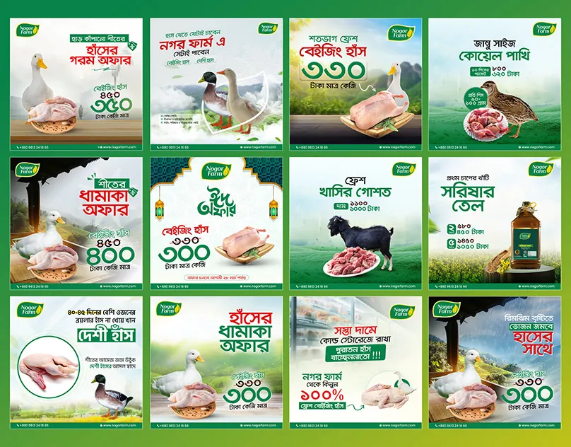 Nogor Farm — Social media posts by Turn360